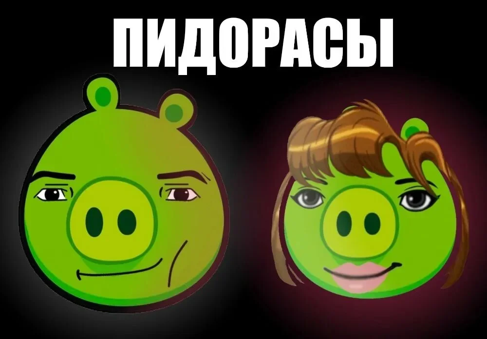 1000039377.webp