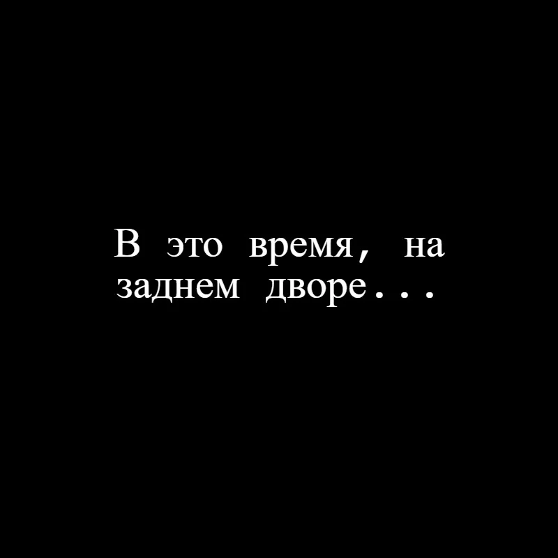 123.webp