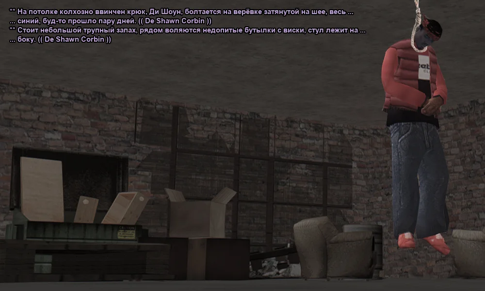 13.webp