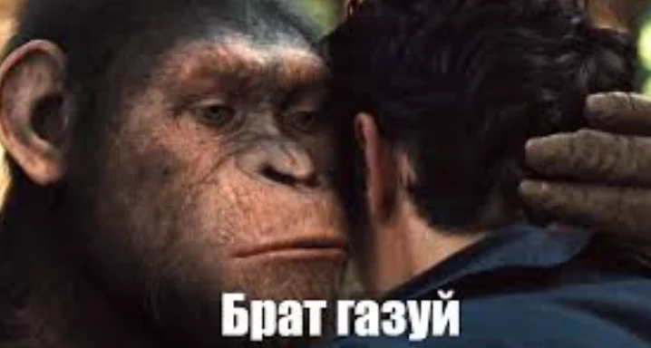 1777439763616.webp
