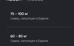 1778089763801.webp