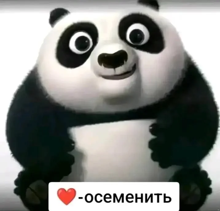 1778697581014.webp