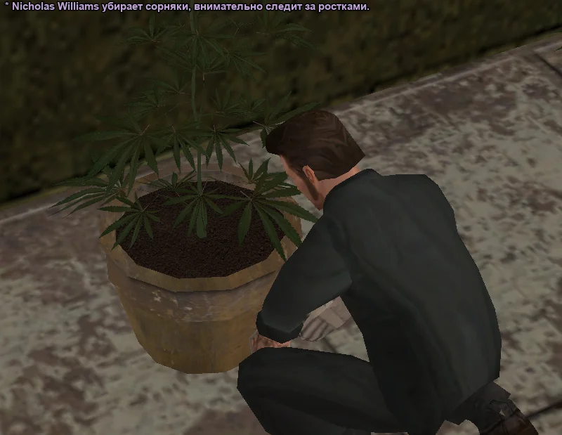 2026-01-09-17-46-14 копия.webp