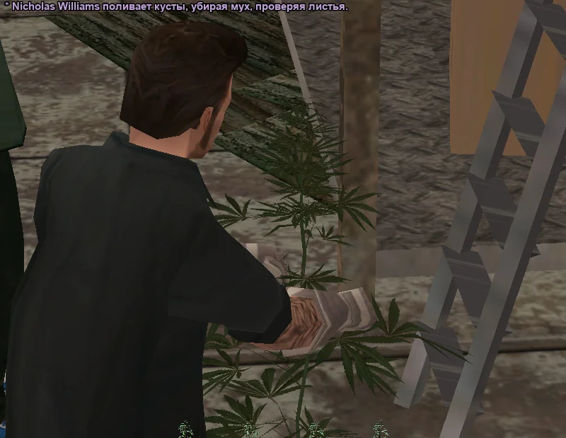 2026-01-09-18-19-39 копия.webp