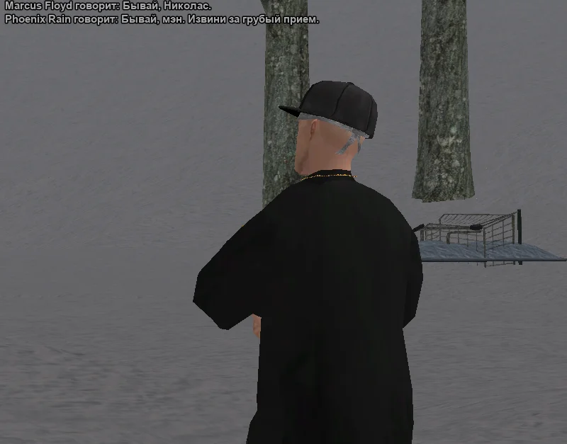 2026-01-13-23-40-30 копия.webp