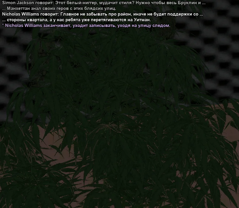 2026-01-20-16-16-27 копия.webp