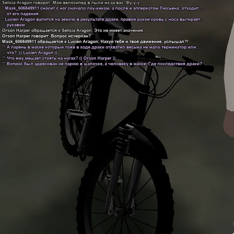 4.webp