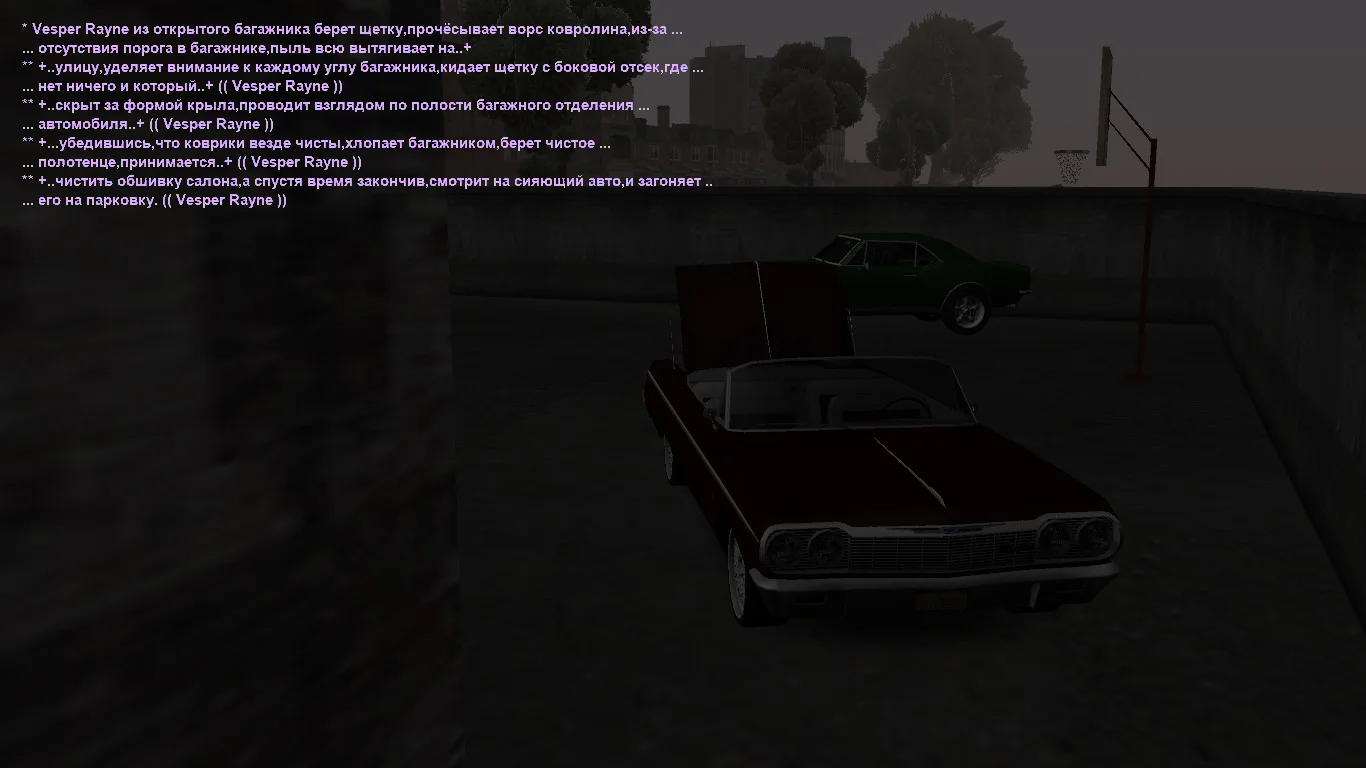 5.webp