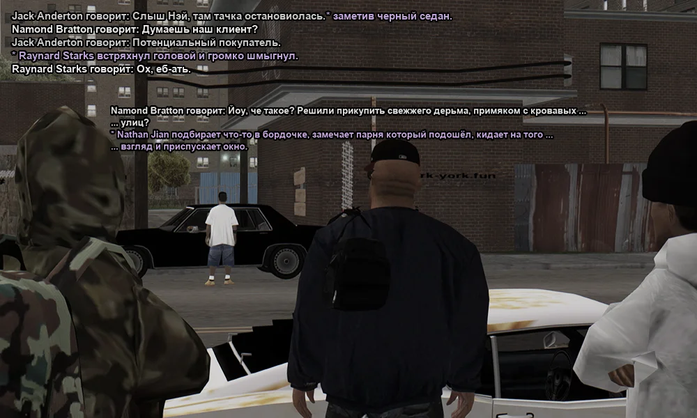 5.webp