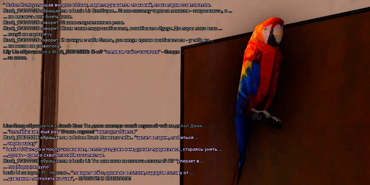 5.webp