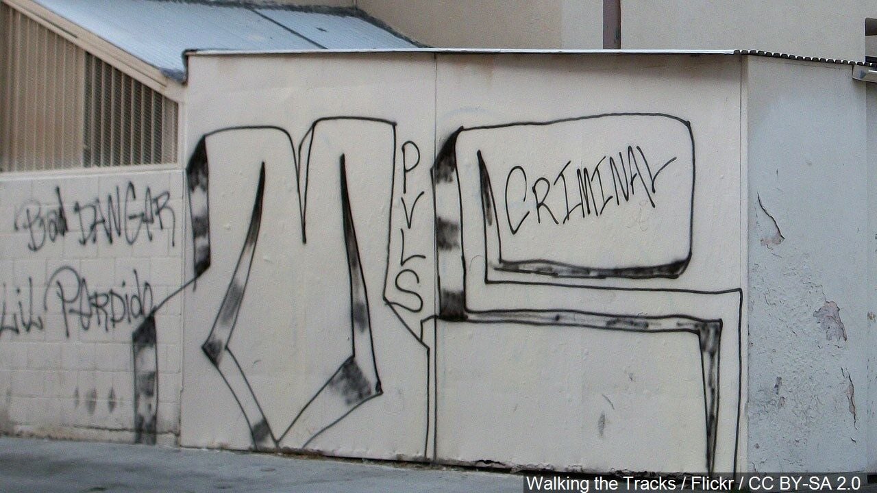 6393af29b3ac0.image.jpg
