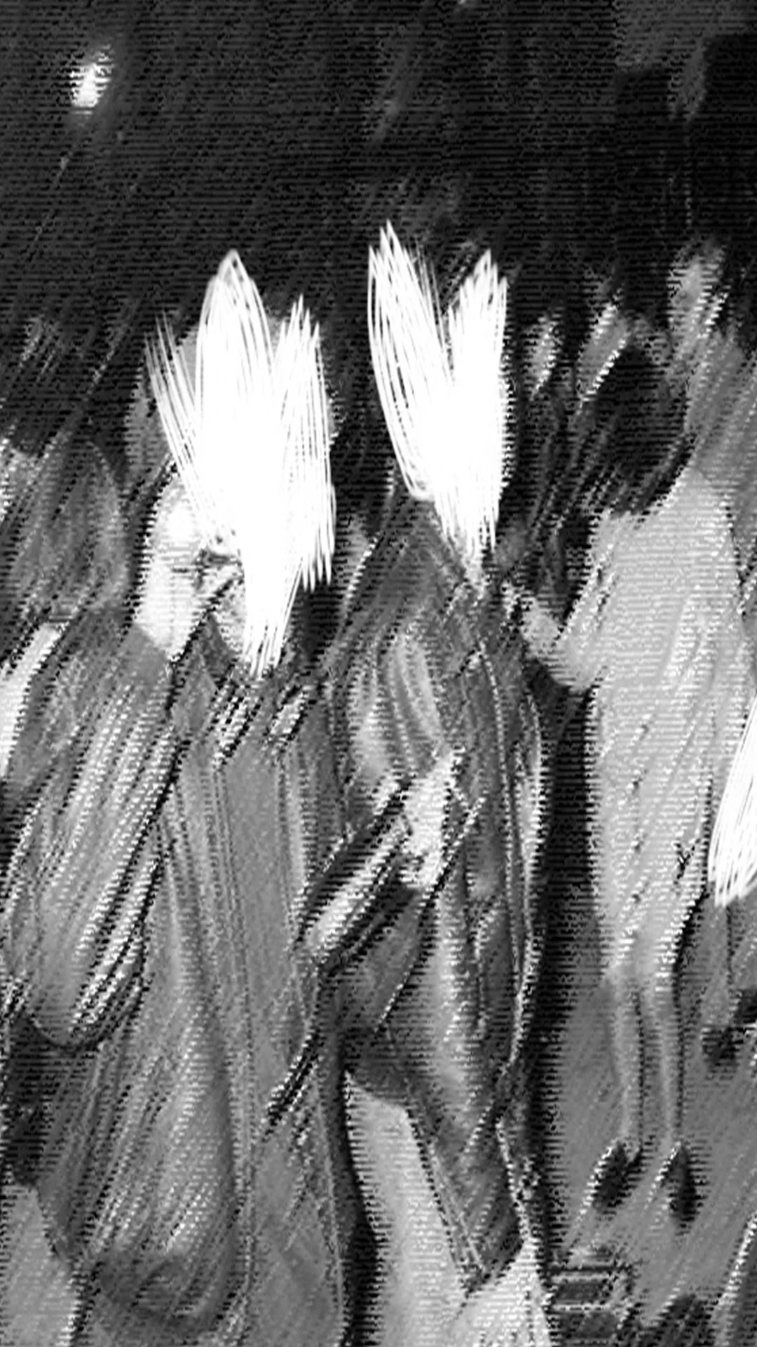 Без имени-1.webp