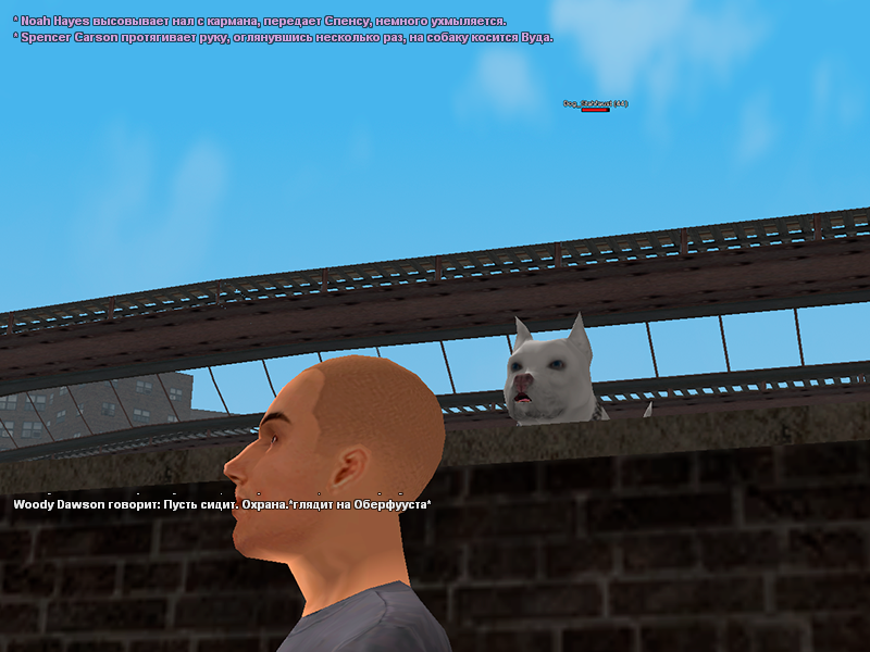 Без имени-2.png