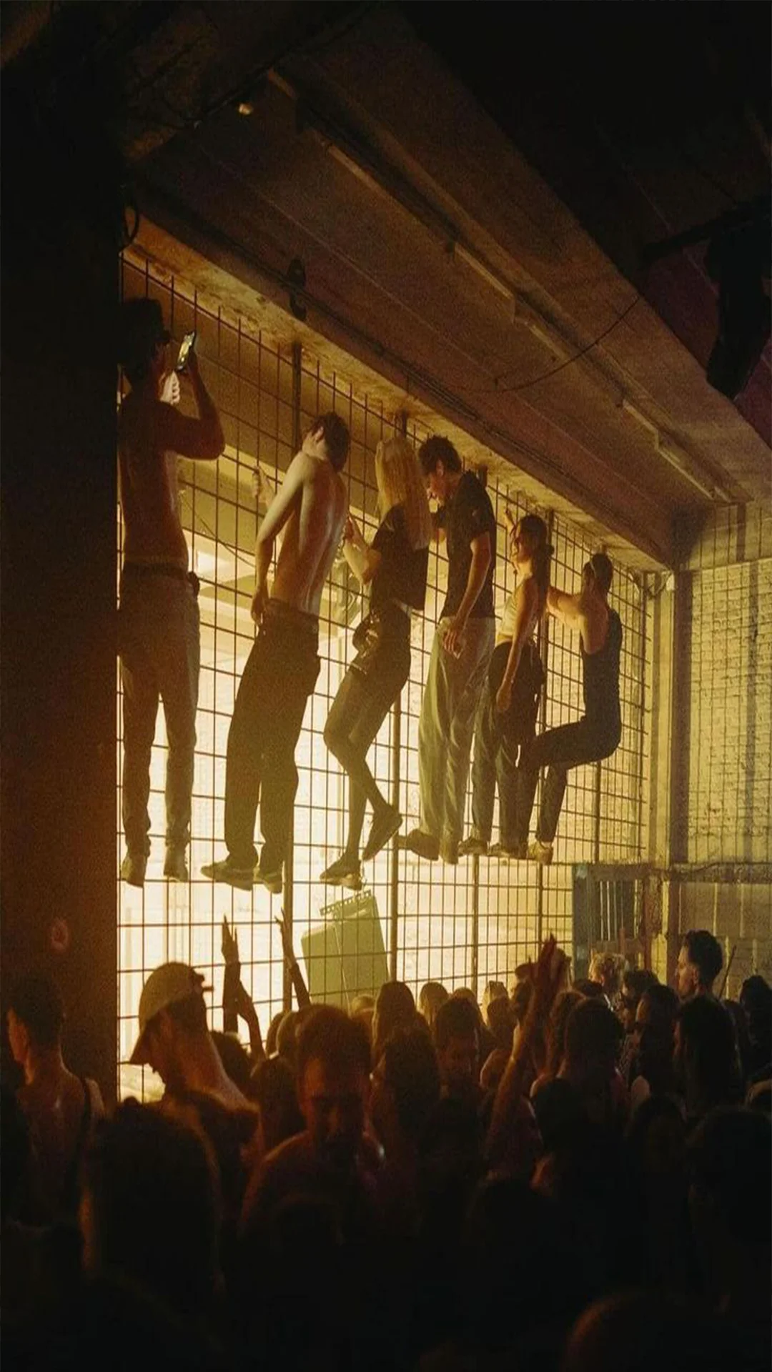 Без имени-2.webp