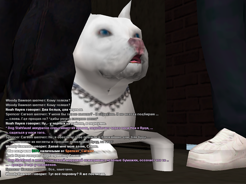 Без имени-4.png