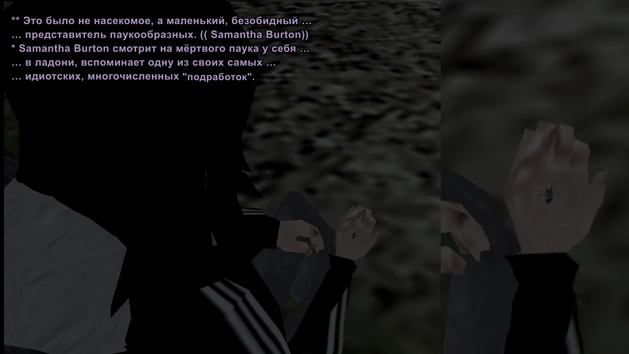 чп6.webp