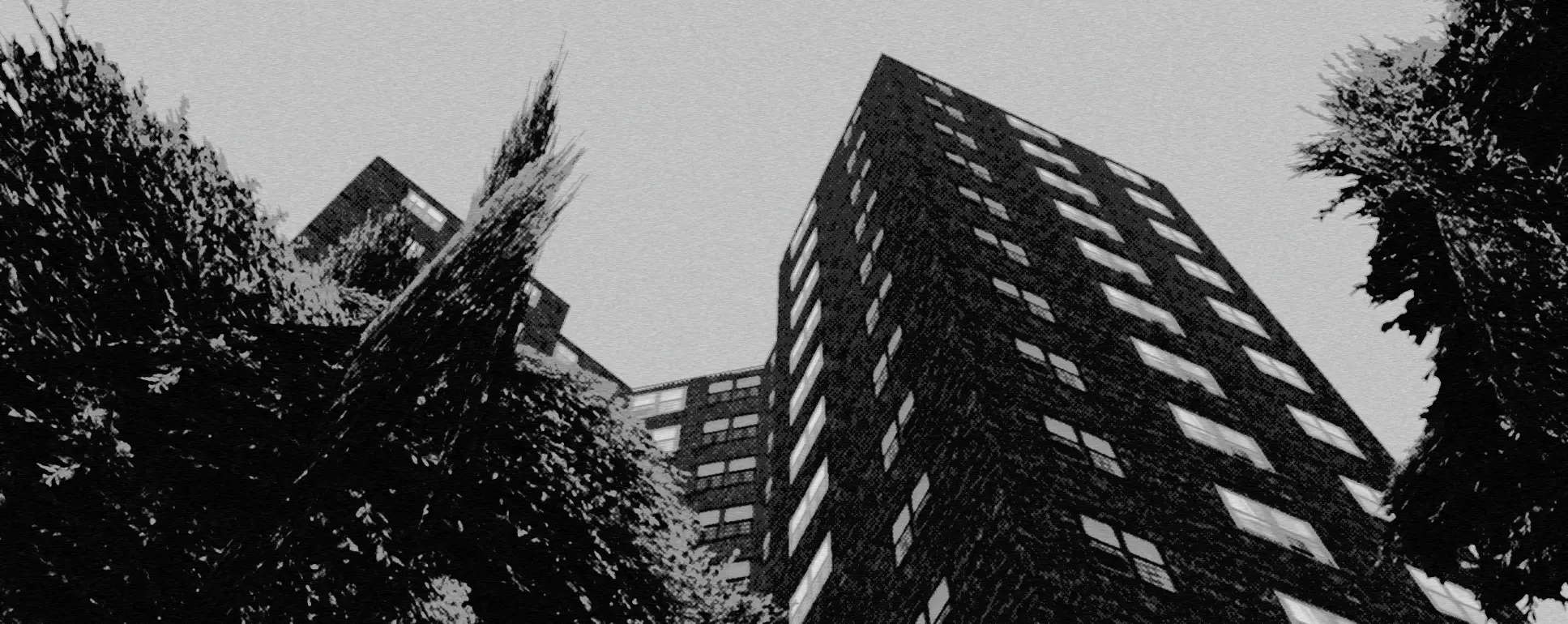 Hepburn Heights.webp