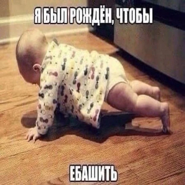 IMG_8472.webp