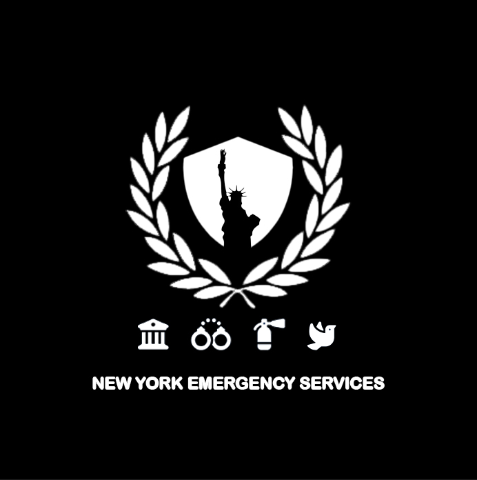 NYES-photoaidcom-cropped (1).png