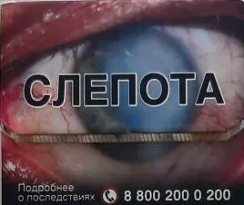 Скриншот 14-08-2026 204949.webp