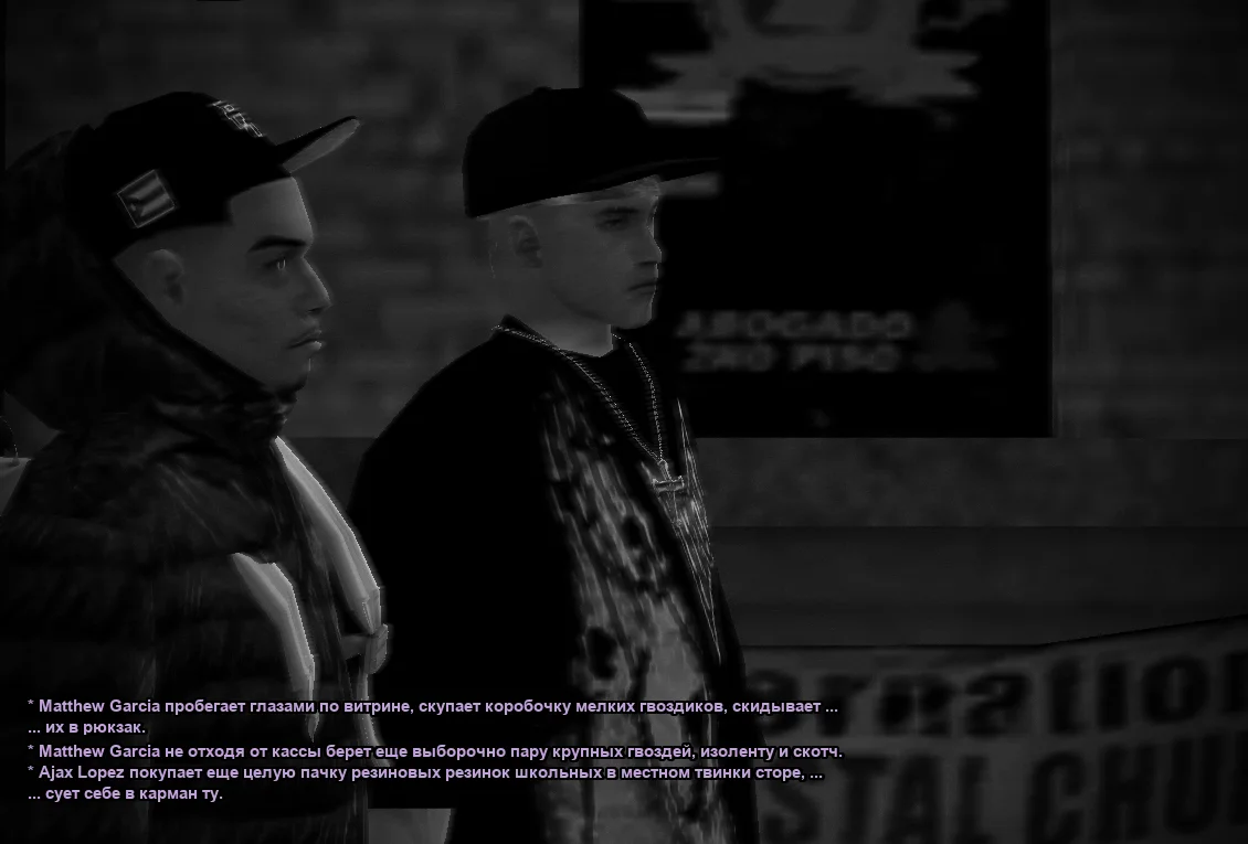 ss13.webp