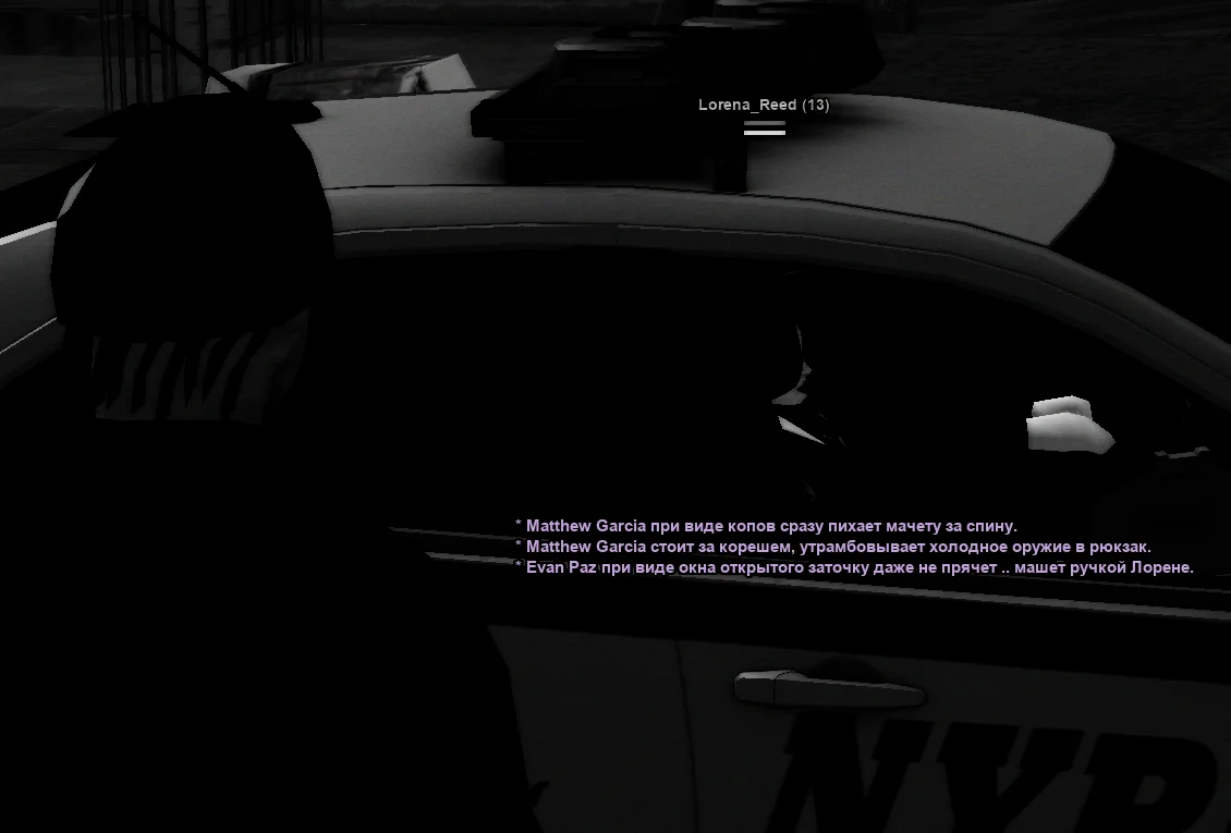 ss2.webp