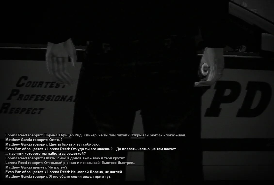 ss3.webp
