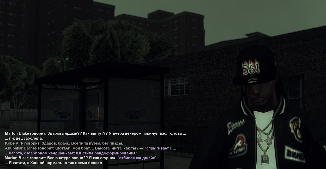 ss713.webp