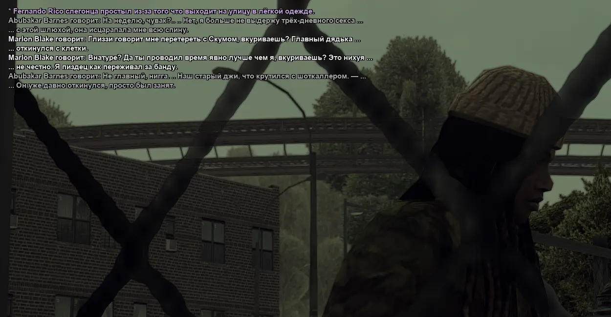 ss771.webp