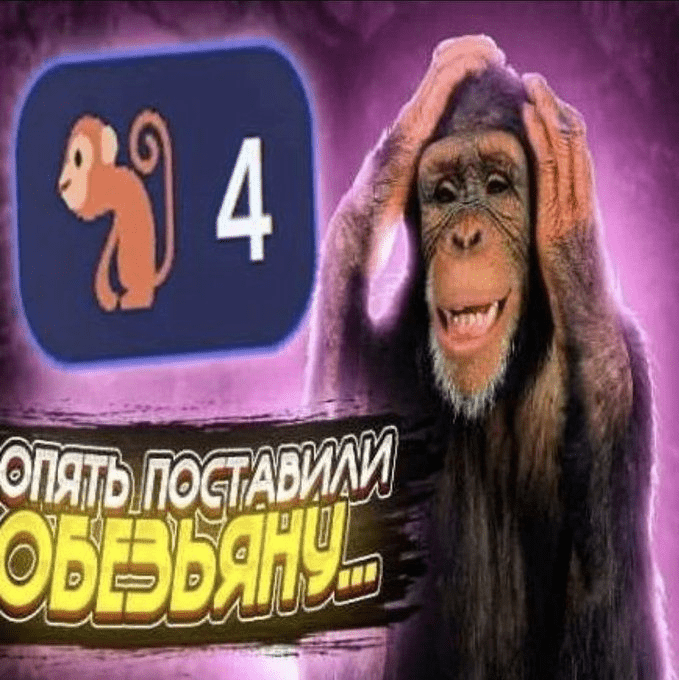 togif-1.gif
