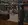 CC4.webp