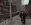 С1.webp