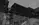 ollin.webp