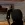 6.webp