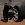 7.webp