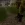 1уилли.webp