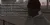 7.webp
