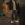 sa2.webp
