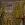 sa3.webp