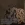 sa4.webp