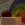 sa6.webp