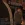 sa9.webp