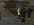 ss2-2.webp