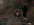 ss5-11.webp