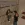 1774818812049.webp