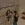 1774818861520.webp