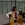 2026-03-31-15-18-58.webp