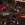 1775048973430.webp