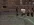 ss9-3.webp