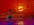 ed4e90a7a361a8fee69303bab24e2835.webp